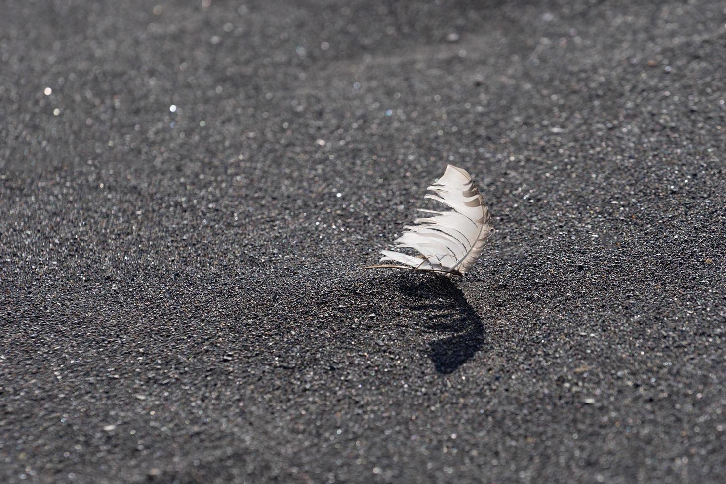 naturlig bakgrund av svart vulkanisk sand med vit fjäder foto