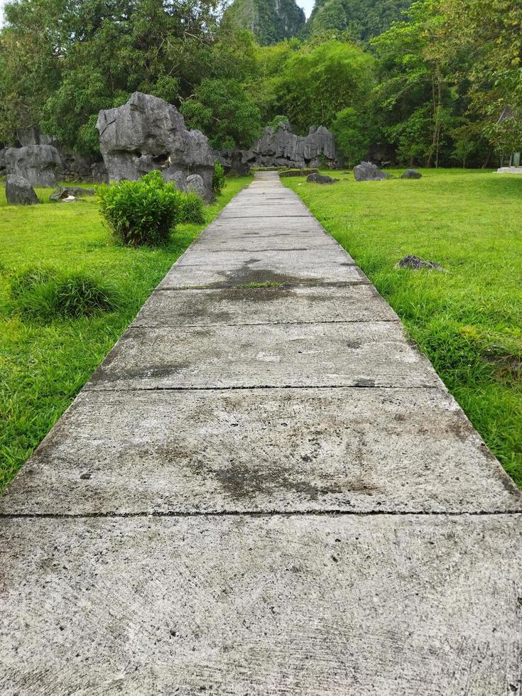 sten tillverkad av natur på isolerat miljö foto