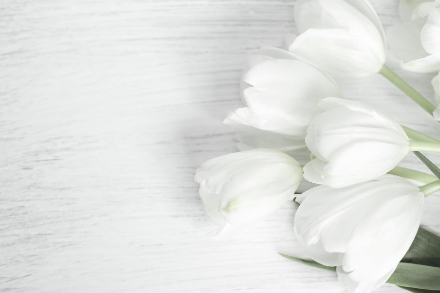 tulpaner blommar på vitt trä med kopieringsutrymme foto