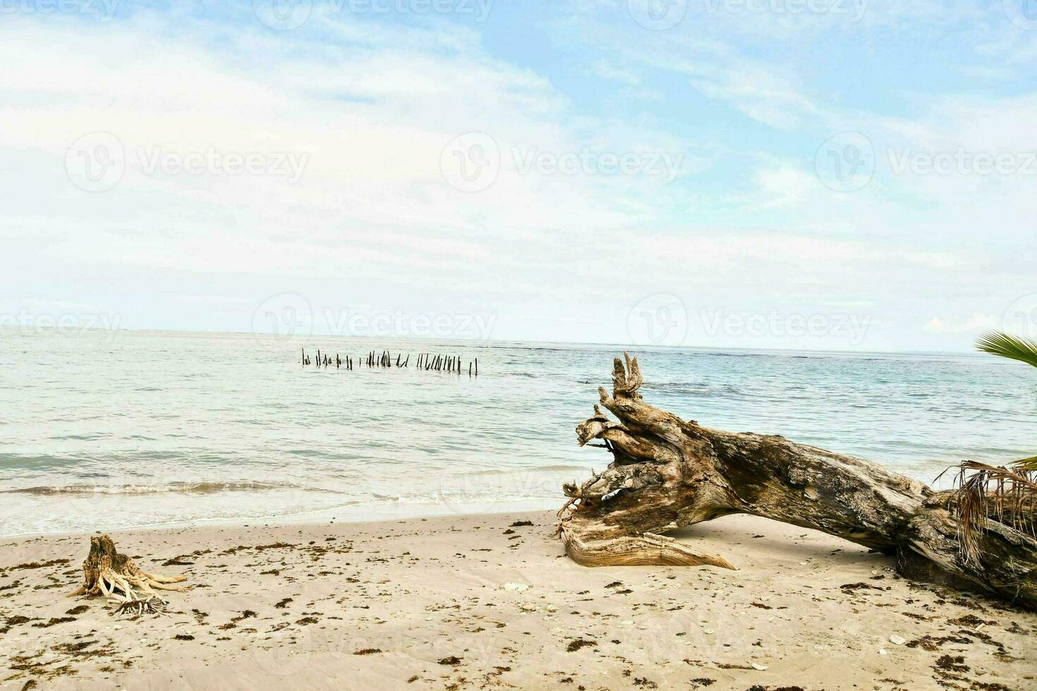 naturskön havsutsikt foto