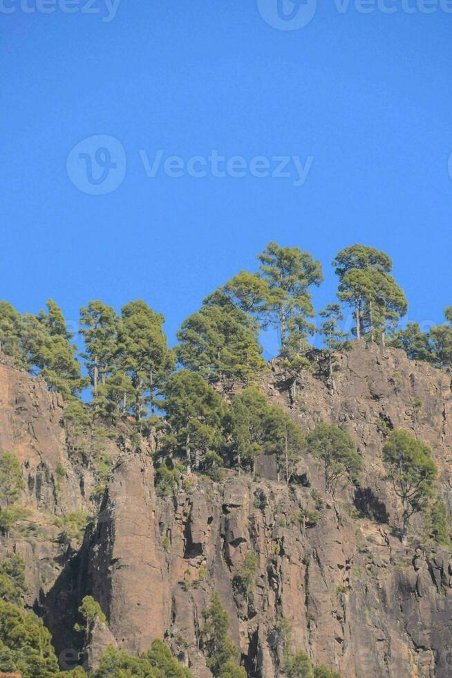 naturskön bergsutsikt foto