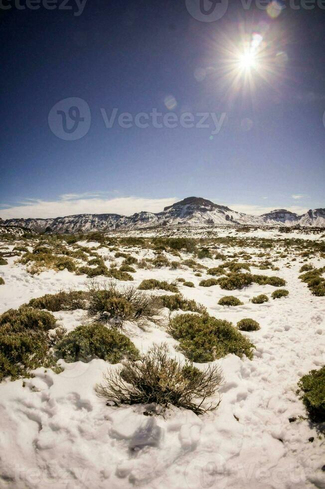 naturskön bergsutsikt foto