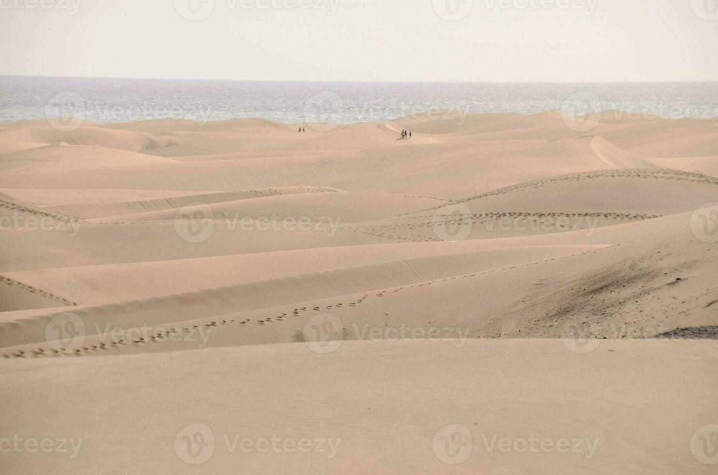naturskön sand sanddyner foto