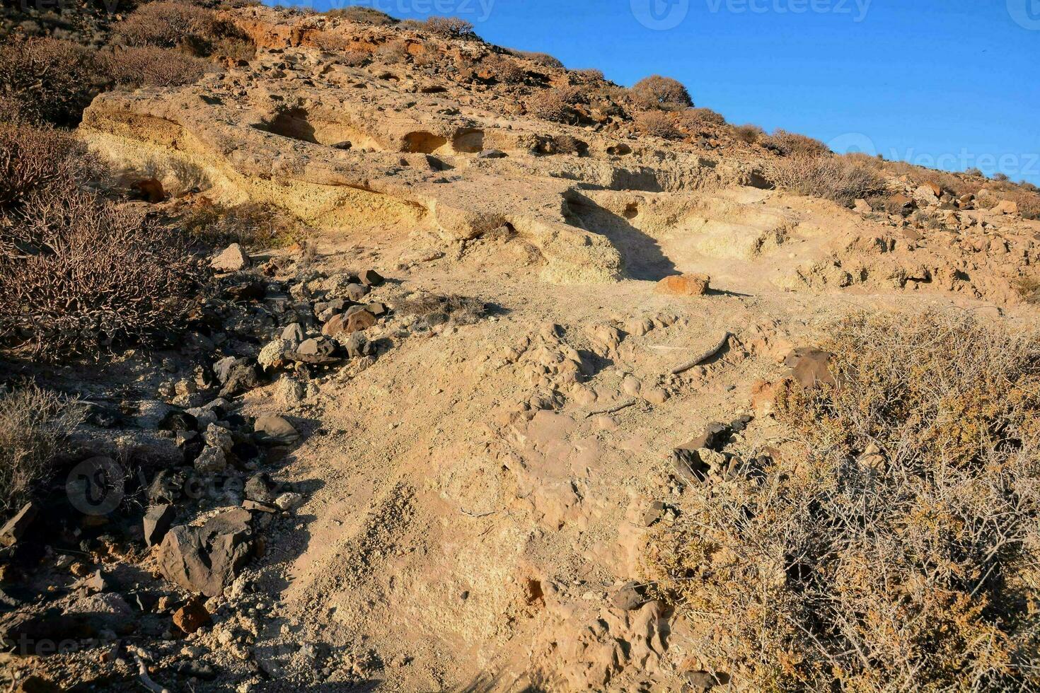 naturskön bergsutsikt foto