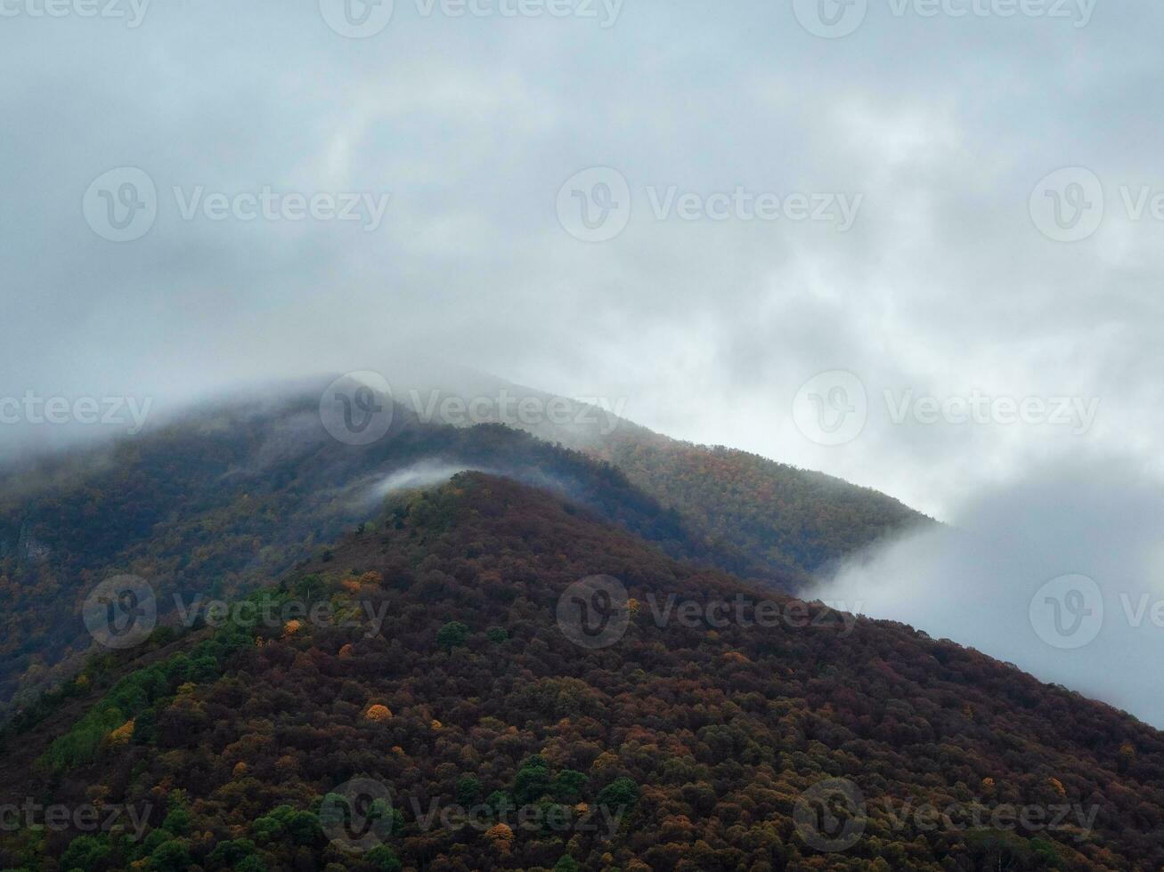 mjuk fokus. Häftigt morgon- dimma över de skog berg backar. foto