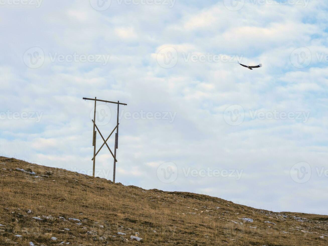 gammal telegraf Pol. trä- stöder i de mongoliska stäpp. foto