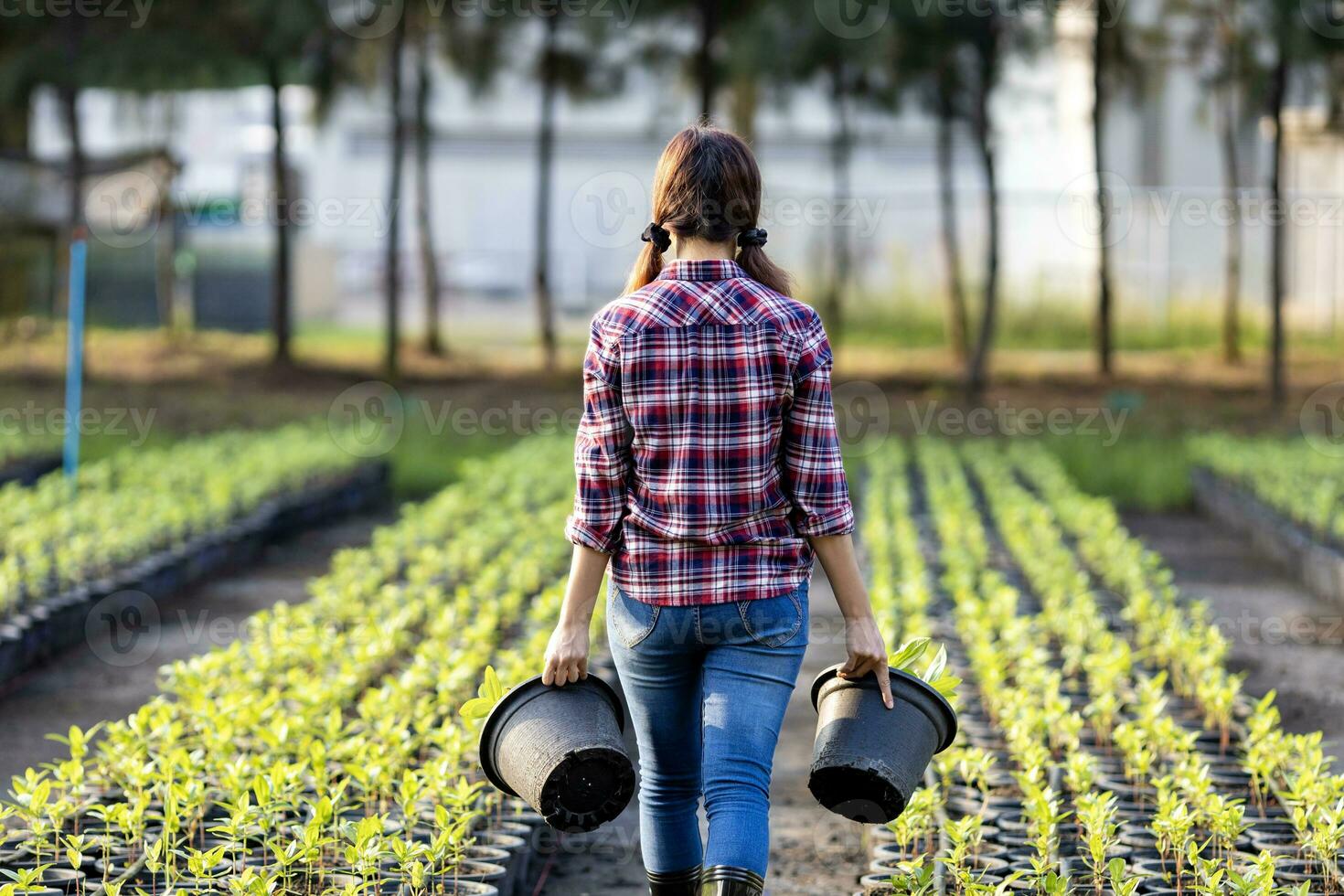 bak- se av kvinna jordbrukare är bärande fröplanta pott av organiska ämnen grönsaker i henne trädgård för vår säsong och friska diet mat begrepp foto
