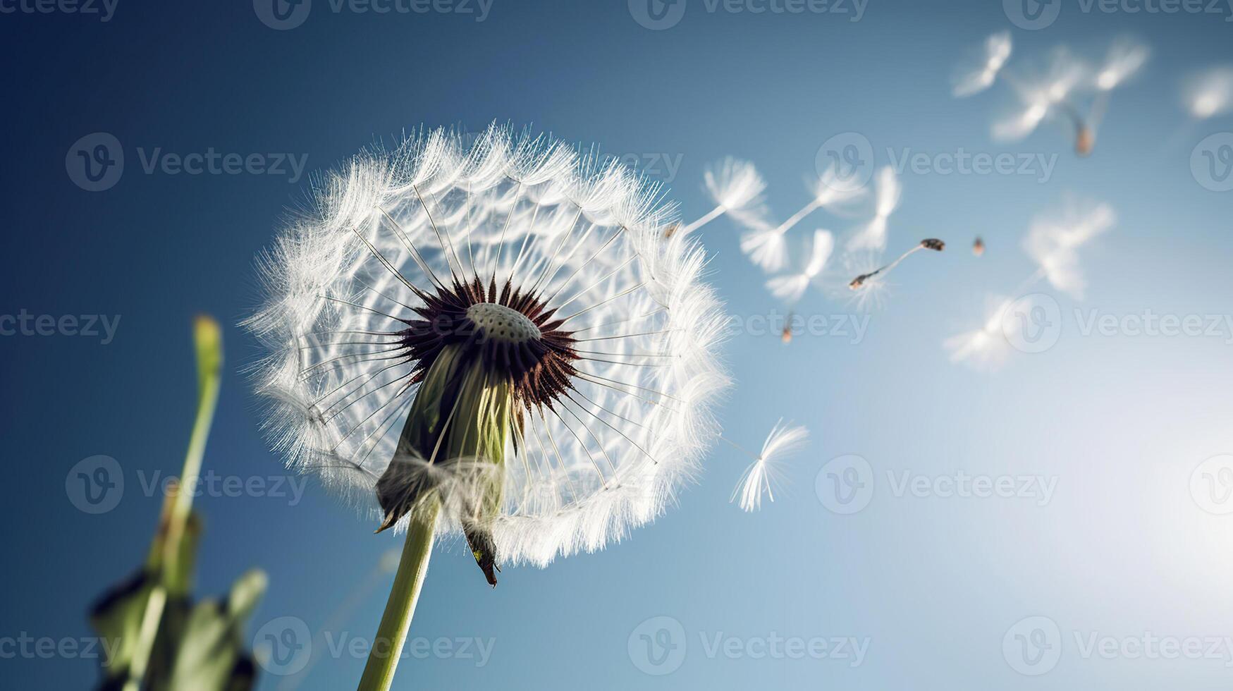 maskros med frön blåser bort i de vind tvärs över en klar blå himmel, generativ ai foto