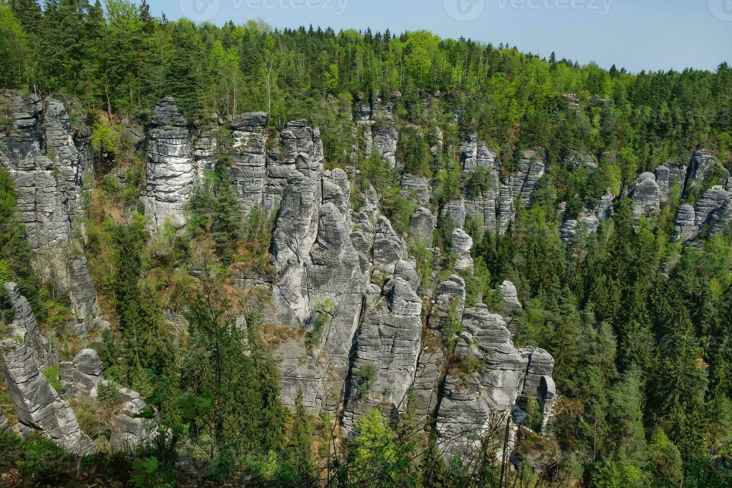 stenar bastei i saxon schweiz nationell parkera foto