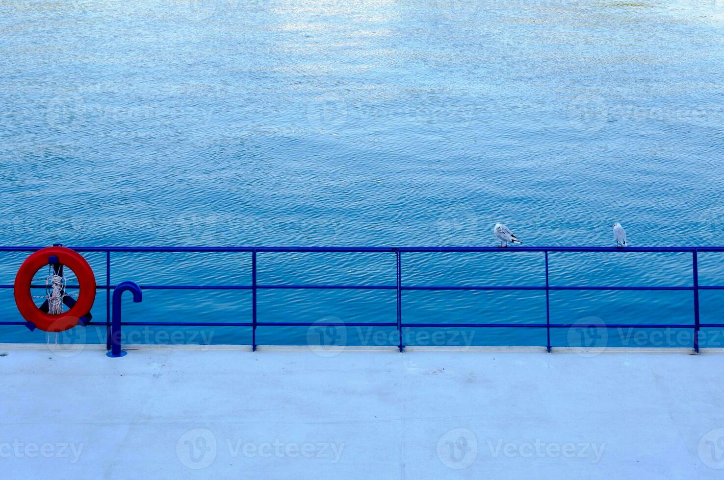 seagulls par utomhus- foto