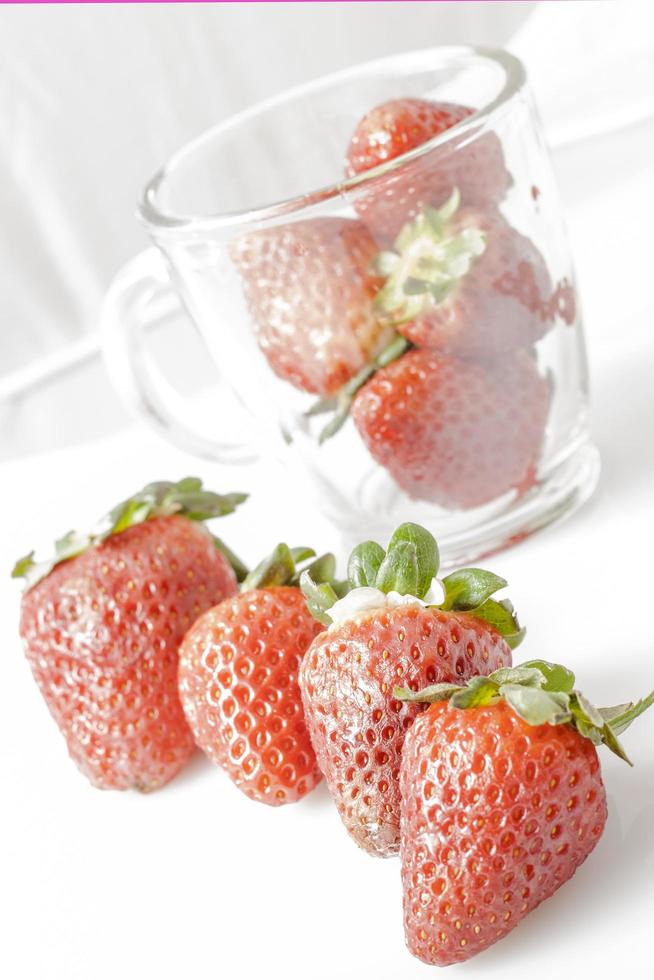jordgubbar med vit bakgrund foto