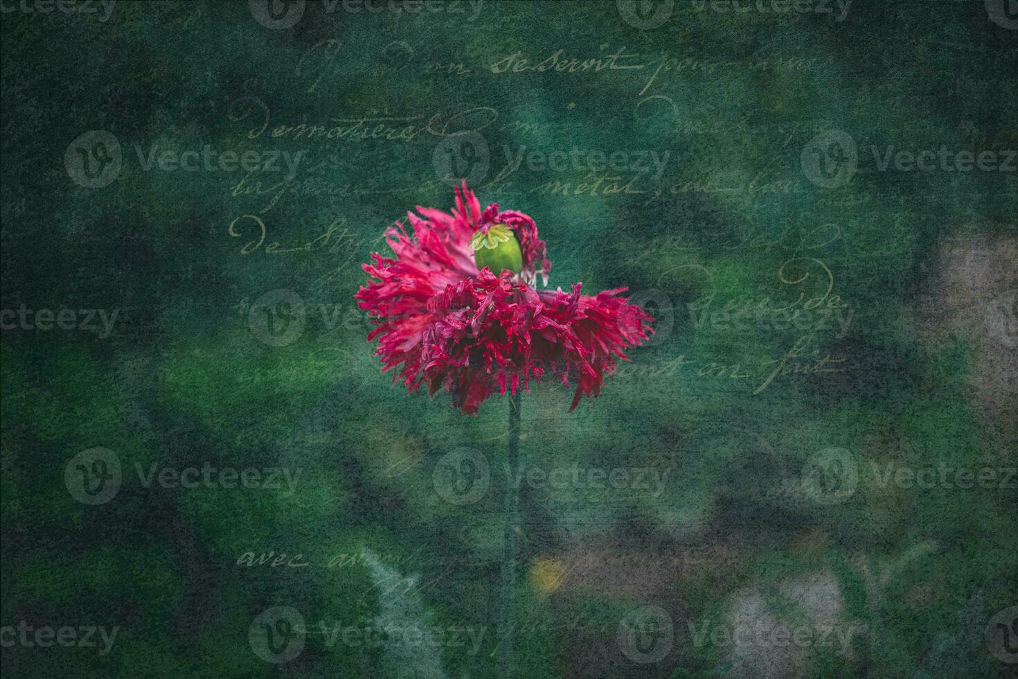 delikat sommar hortensia blommor på en grön bakgrund i de trädgård foto