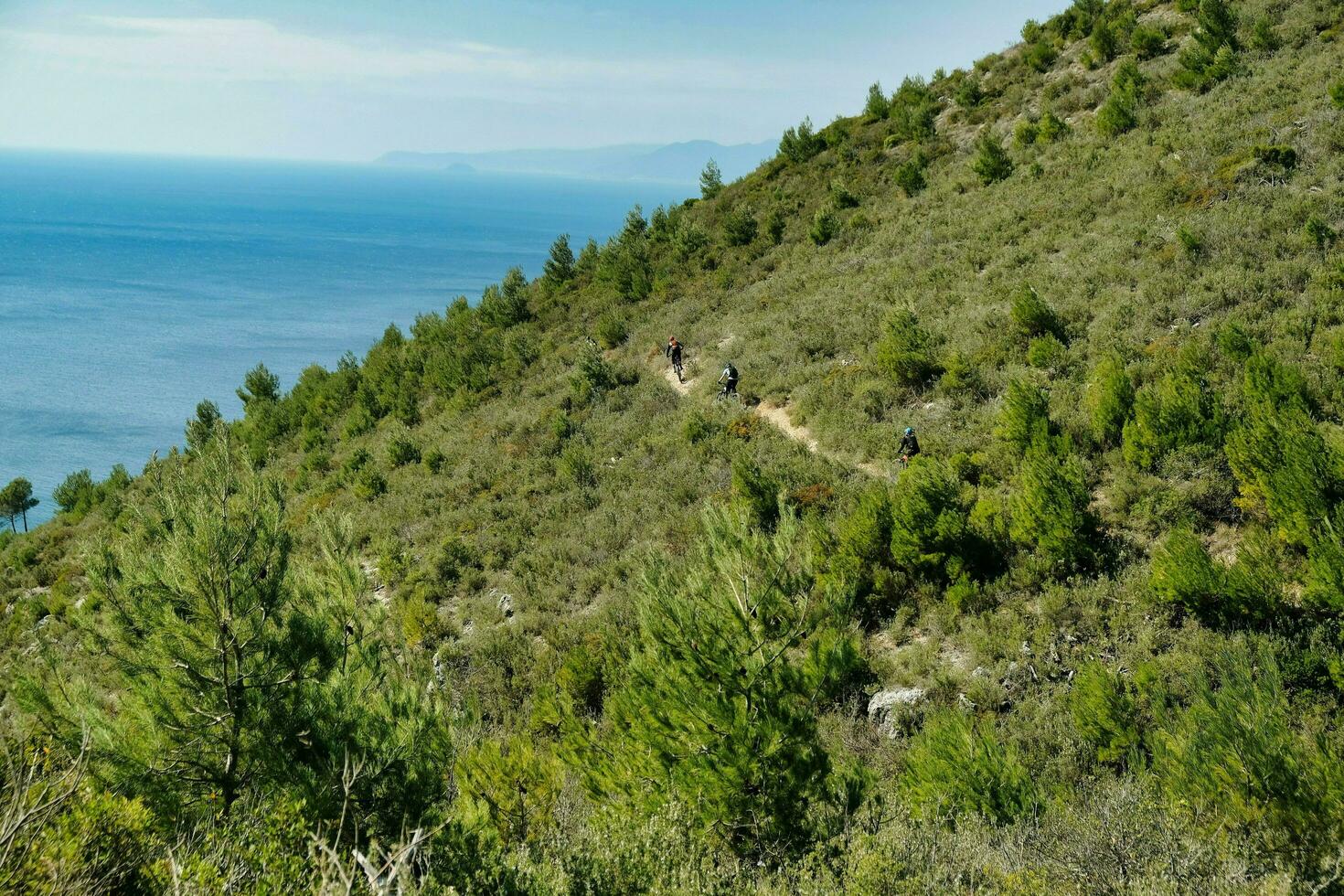 Pojkar på berg Cyklar på de kullar av varigotti under en sommar dag foto