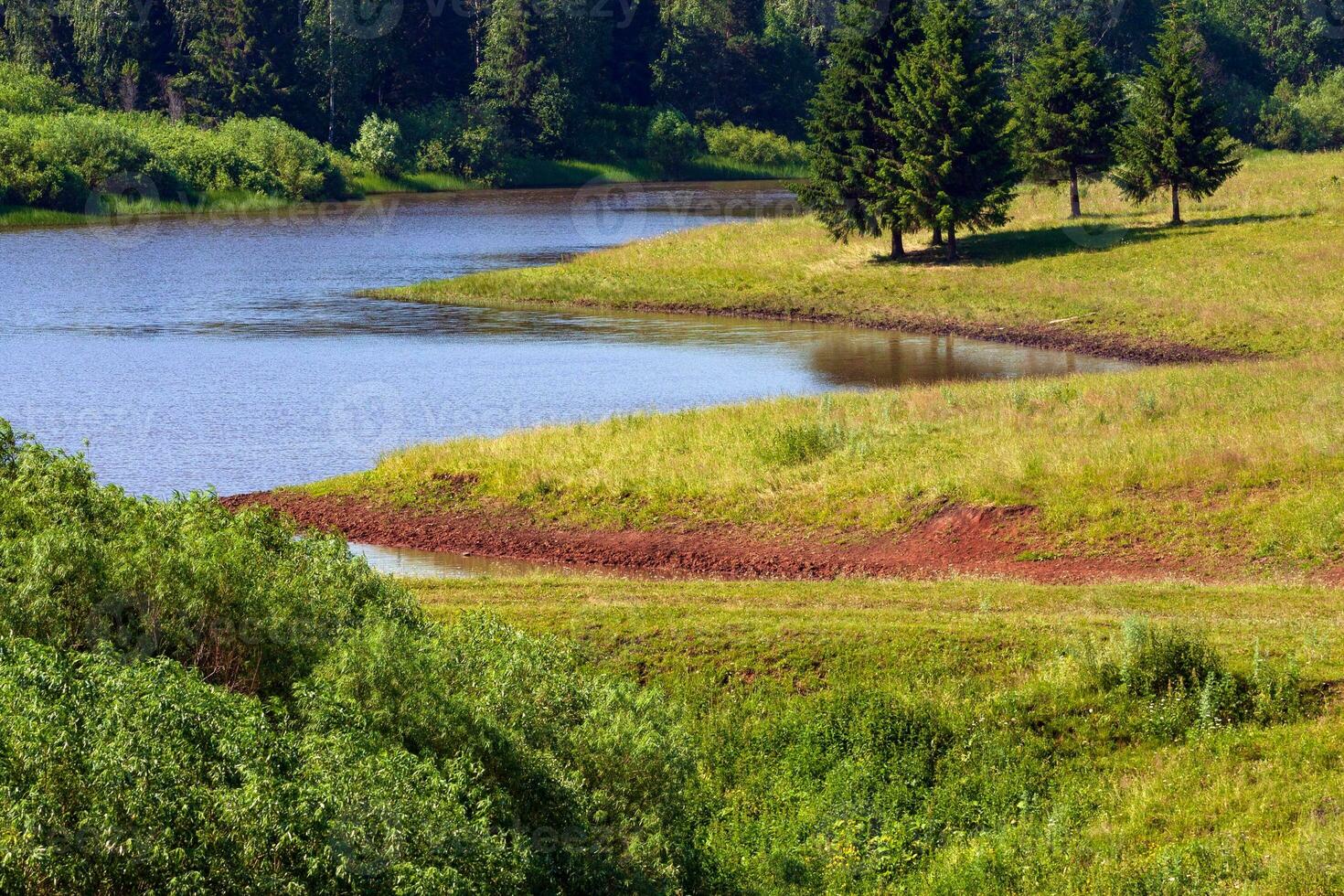 landskap med flod och skog i de sommar. foto