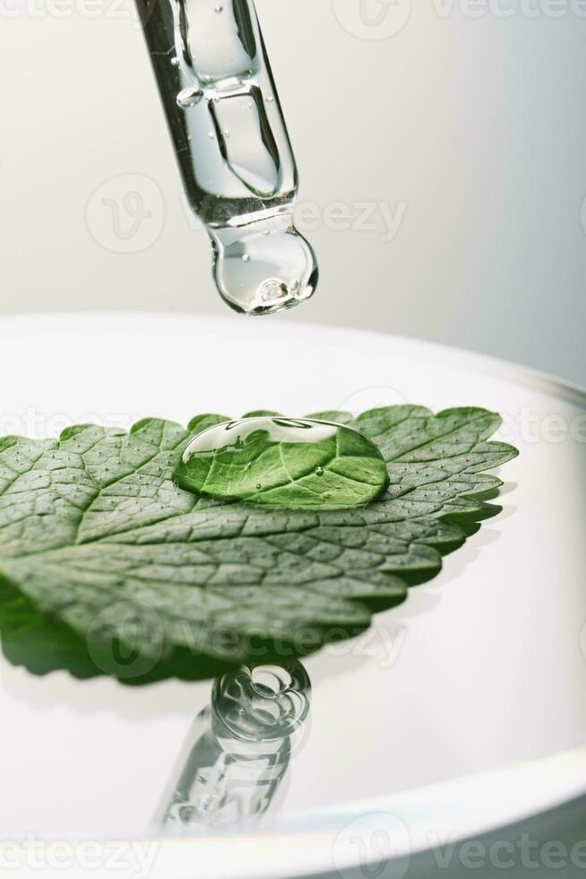 pipett med gel kosmetisk släppa på grön blad i petri maträtt på grå bakgrund foto