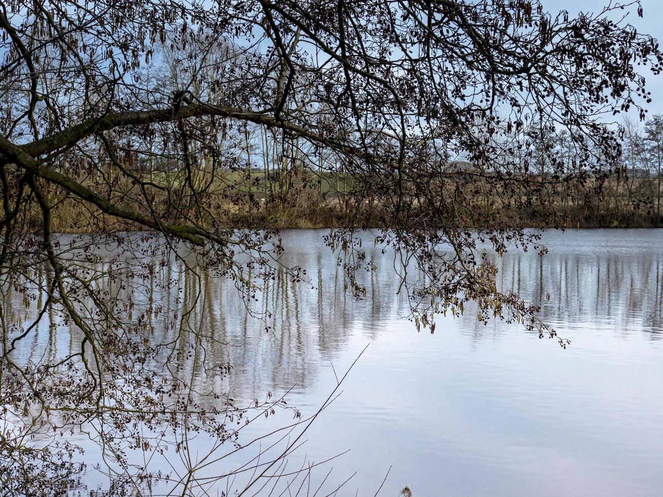 utsikt över en sjö genom trädgrenar vid norra grottan våtmarker i East Yorkshire England foto