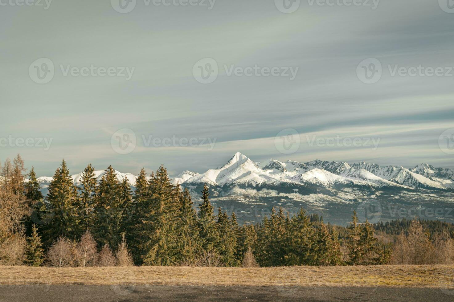 fjäll, träd, snö vår Foto från Slovakien, liptov 10.04.2023