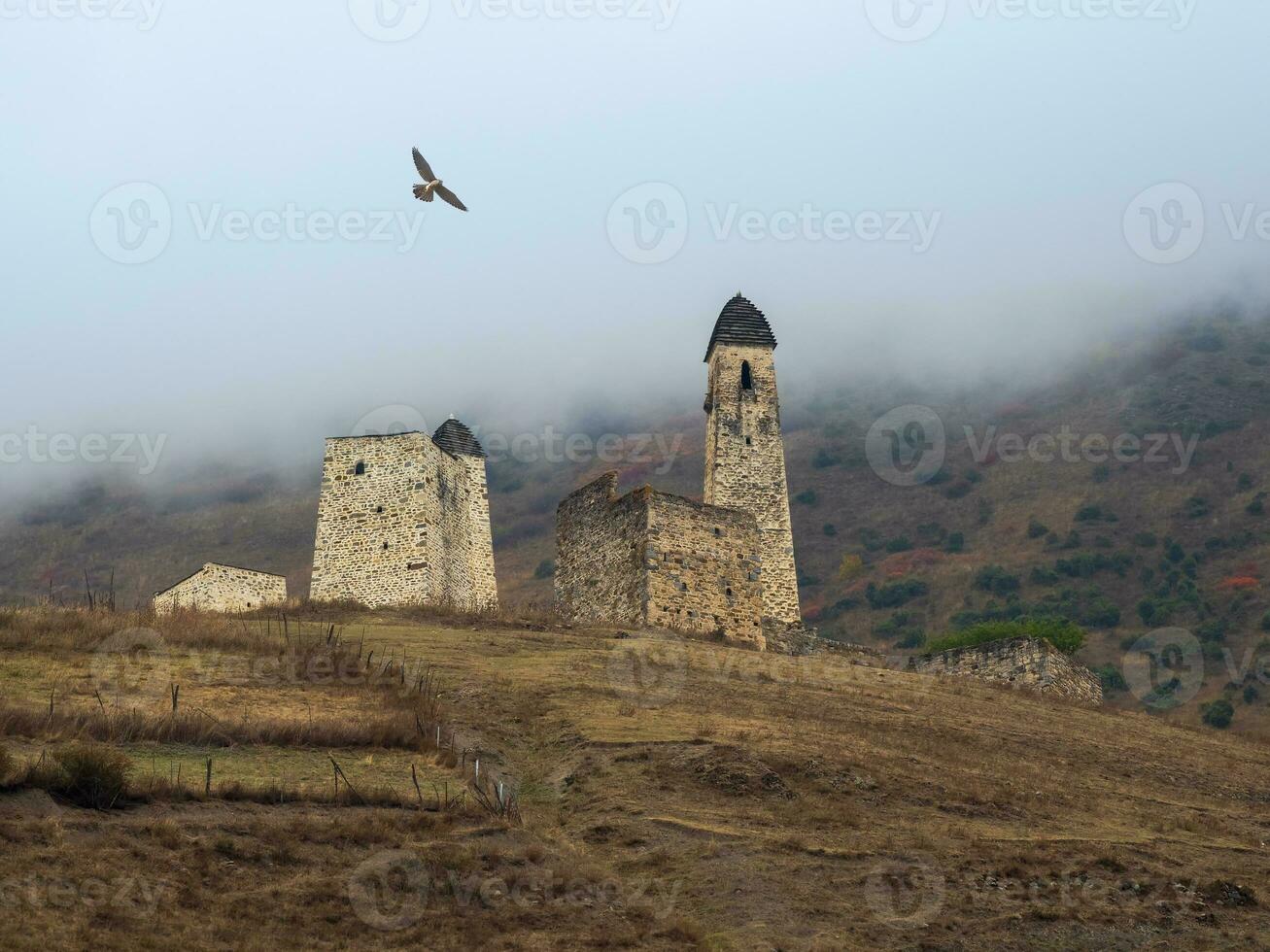 slåss torn erzi i de jeyrah klyfta. medeltida torn komplex erzi, ett av de största medeltida slottsliknande torn byar, belägen på de extremitet av de berg räckvidd i ingushetia, Ryssland. foto