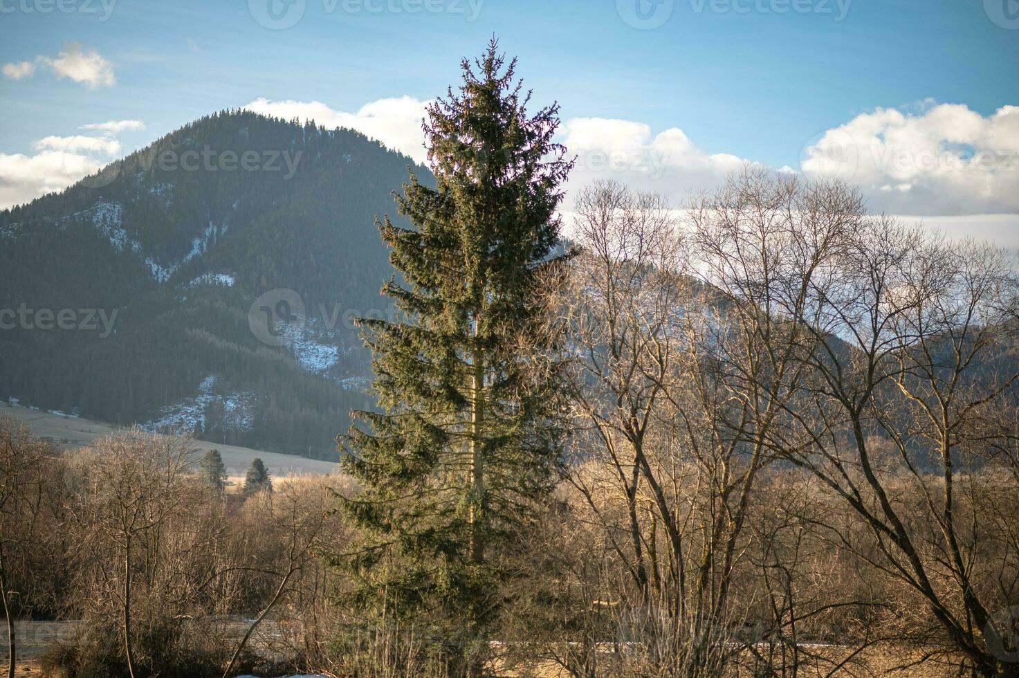 vår Foto från liptov, slovakia 15.04.2023