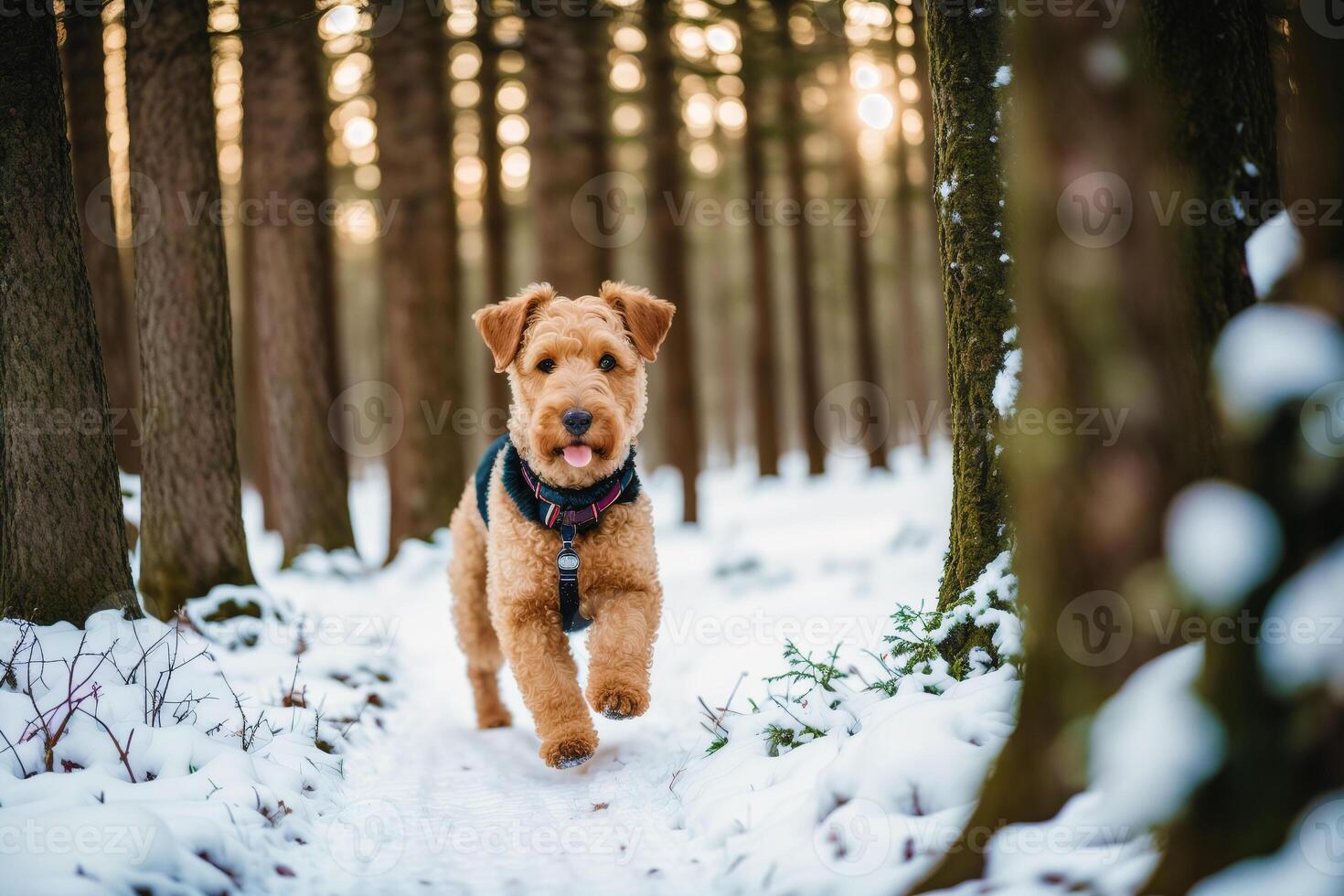 porträtt av en skön airedale terrier hund i de parkera. generativ ai foto