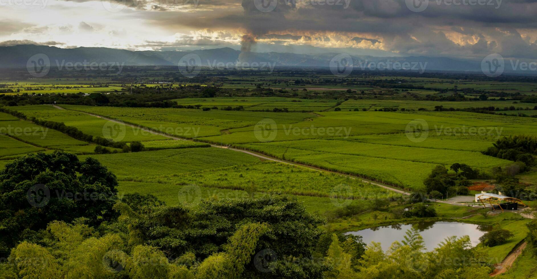 socker sockerrör fält och de majestätisk bergen på de valle del cauca område i colombia foto
