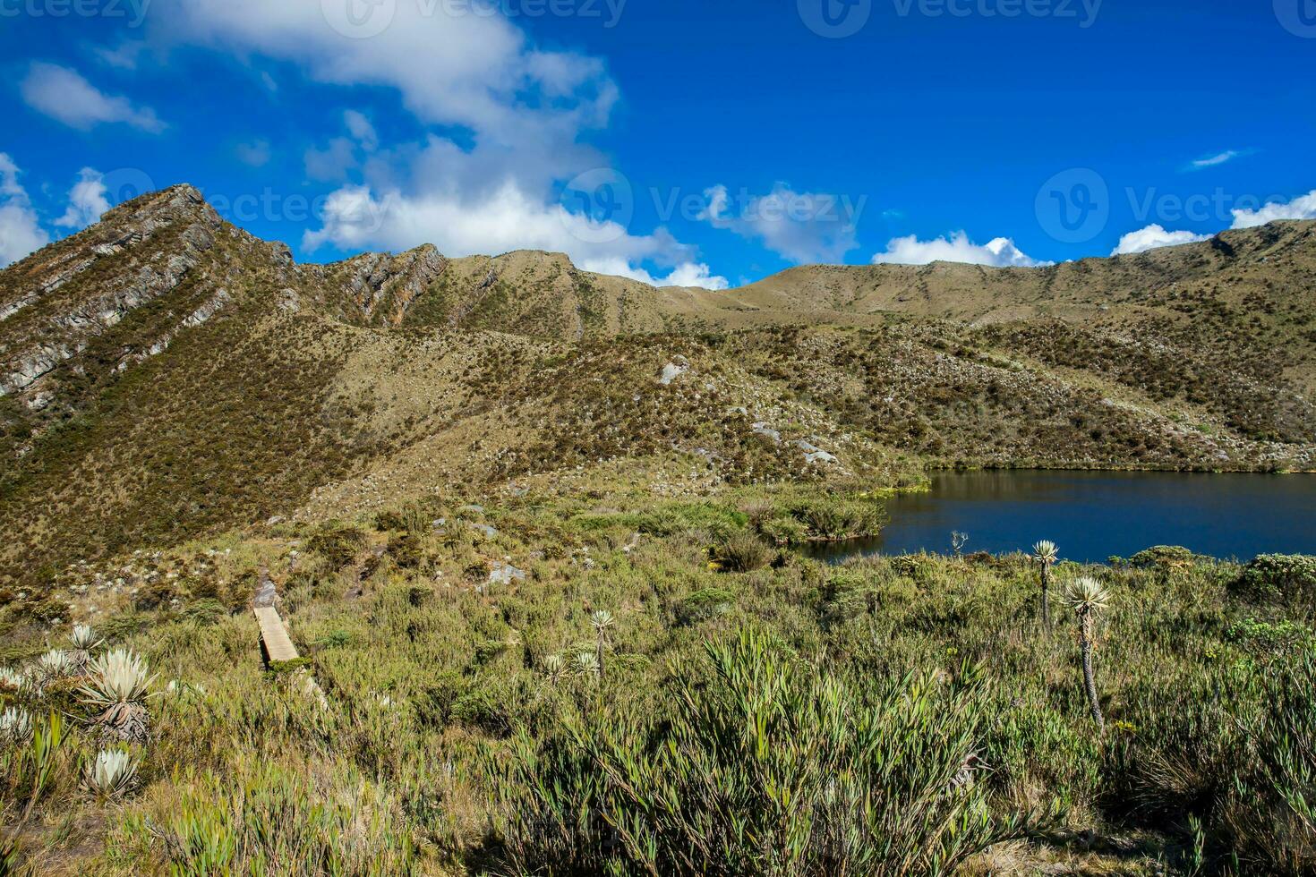 skön landskap av colombianska andean bergen som visar paramo typ vegetation i de avdelning av cundinamarca foto