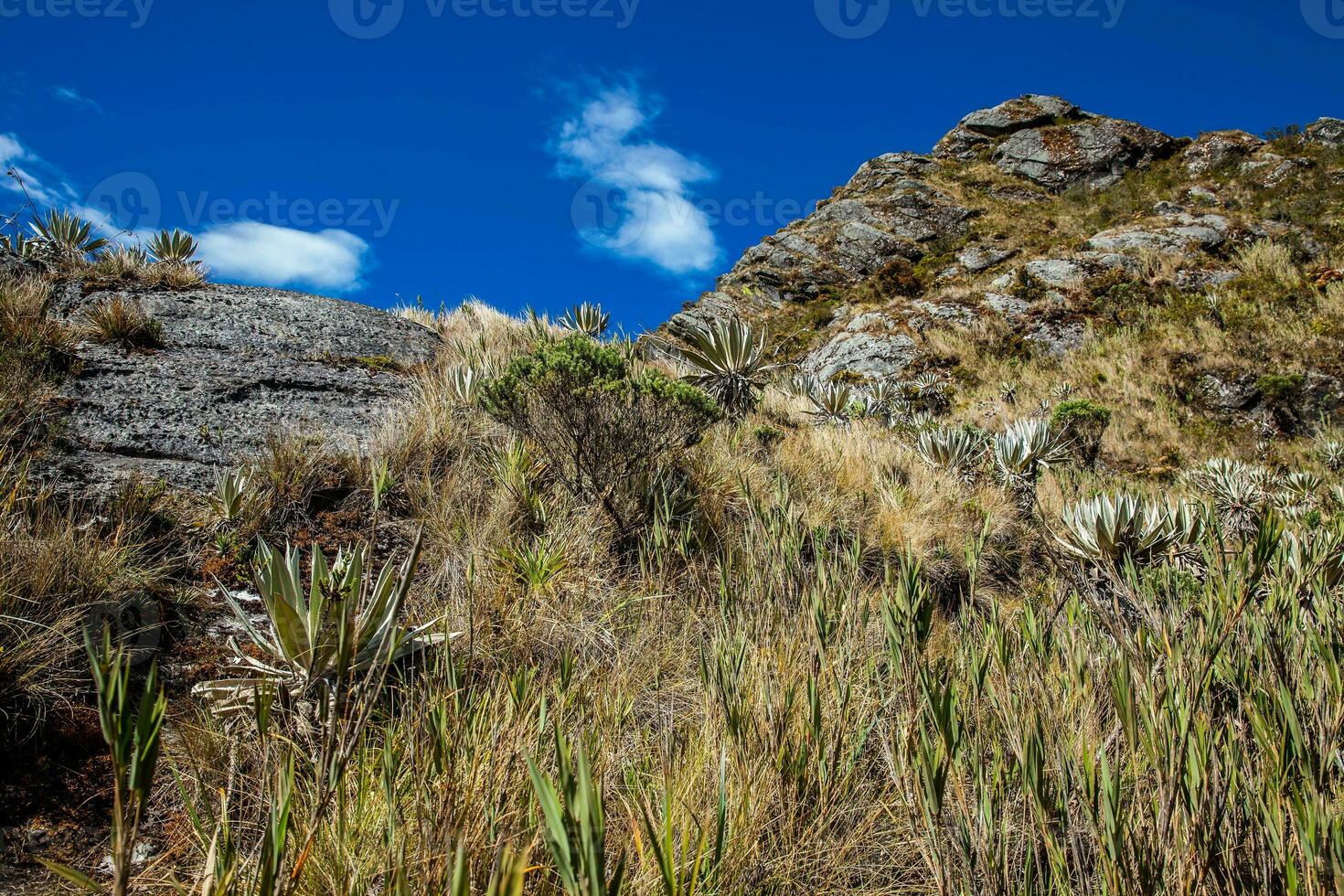 skön landskap av colombianska andean bergen som visar paramo typ vegetation i de avdelning av cundinamarca foto