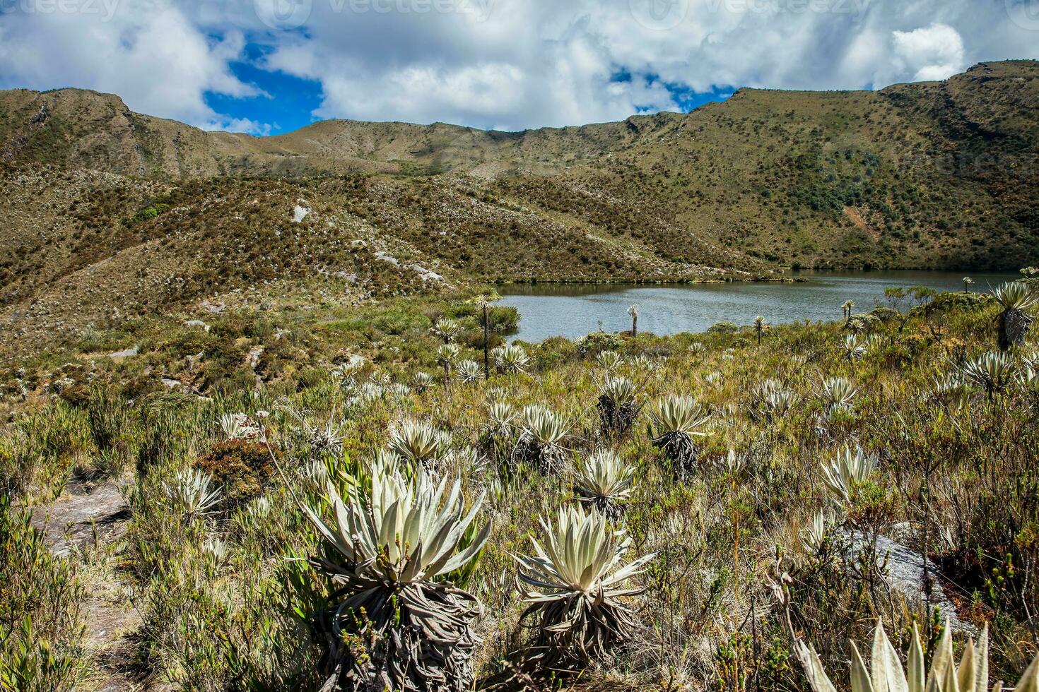 skön landskap av colombianska andean bergen som visar paramo typ vegetation i de avdelning av cundinamarca foto