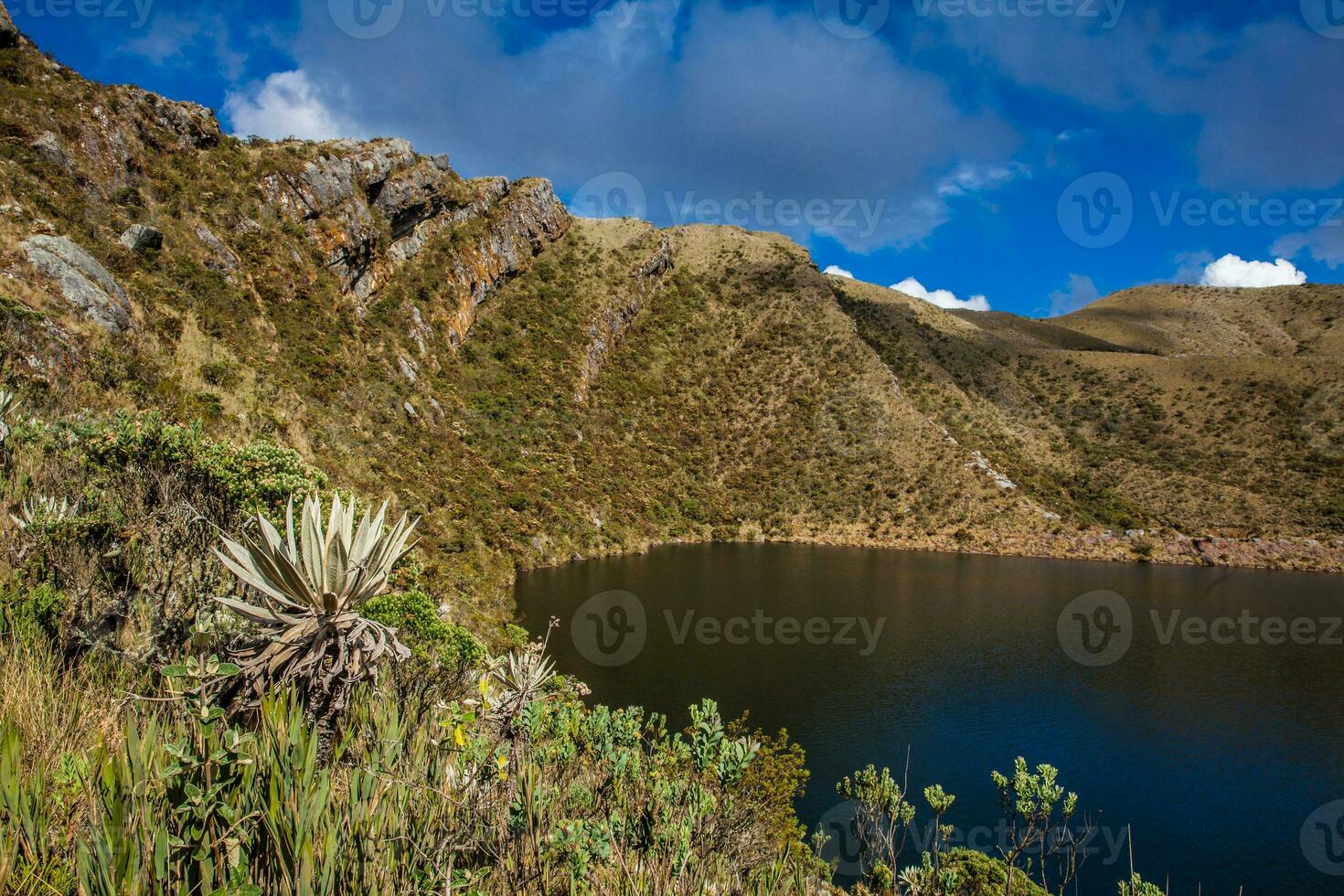 skön landskap av colombianska andean bergen som visar paramo typ vegetation i de avdelning av cundinamarca foto