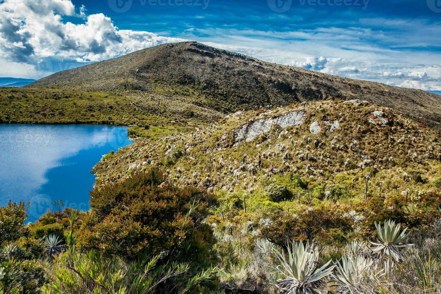 skön landskap av colombianska andean bergen som visar paramo typ vegetation i de avdelning av cundinamarca foto