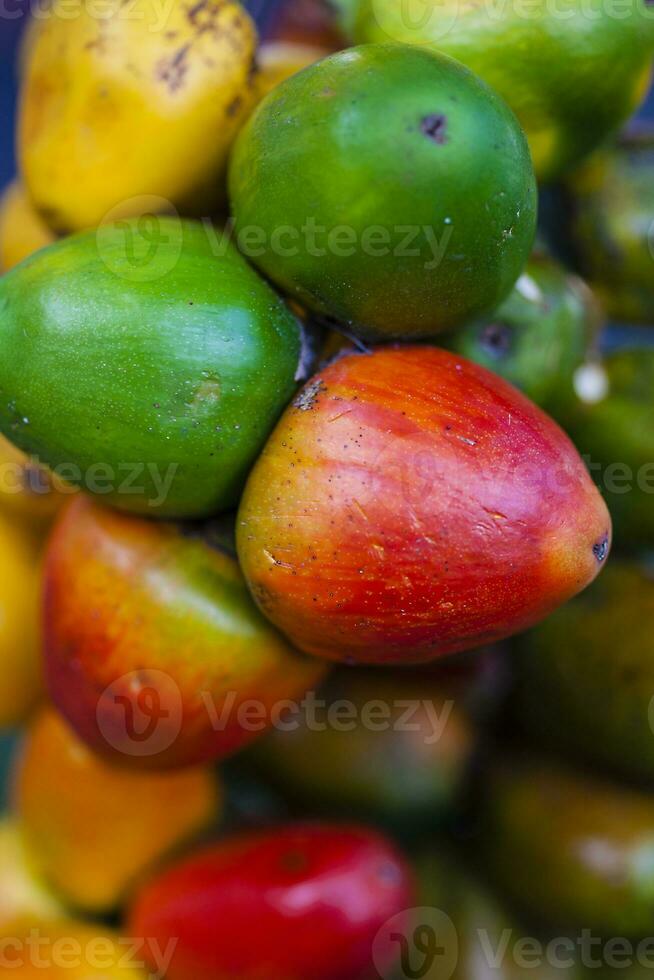exotisk tropisk frukt kallad chontaduro. bactris gasipaes. foto