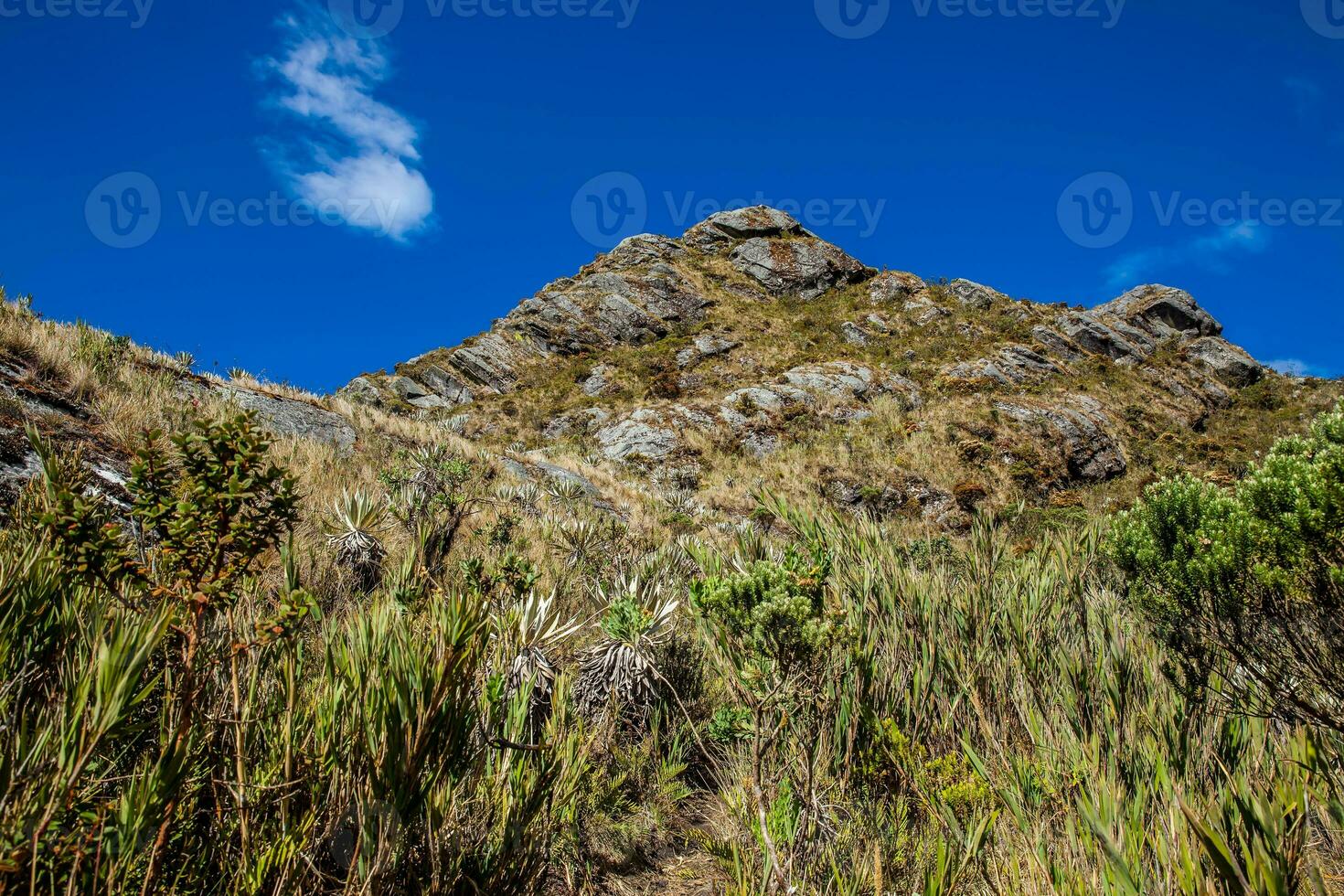 skön landskap av colombianska andean bergen som visar paramo typ vegetation i de avdelning av cundinamarca foto