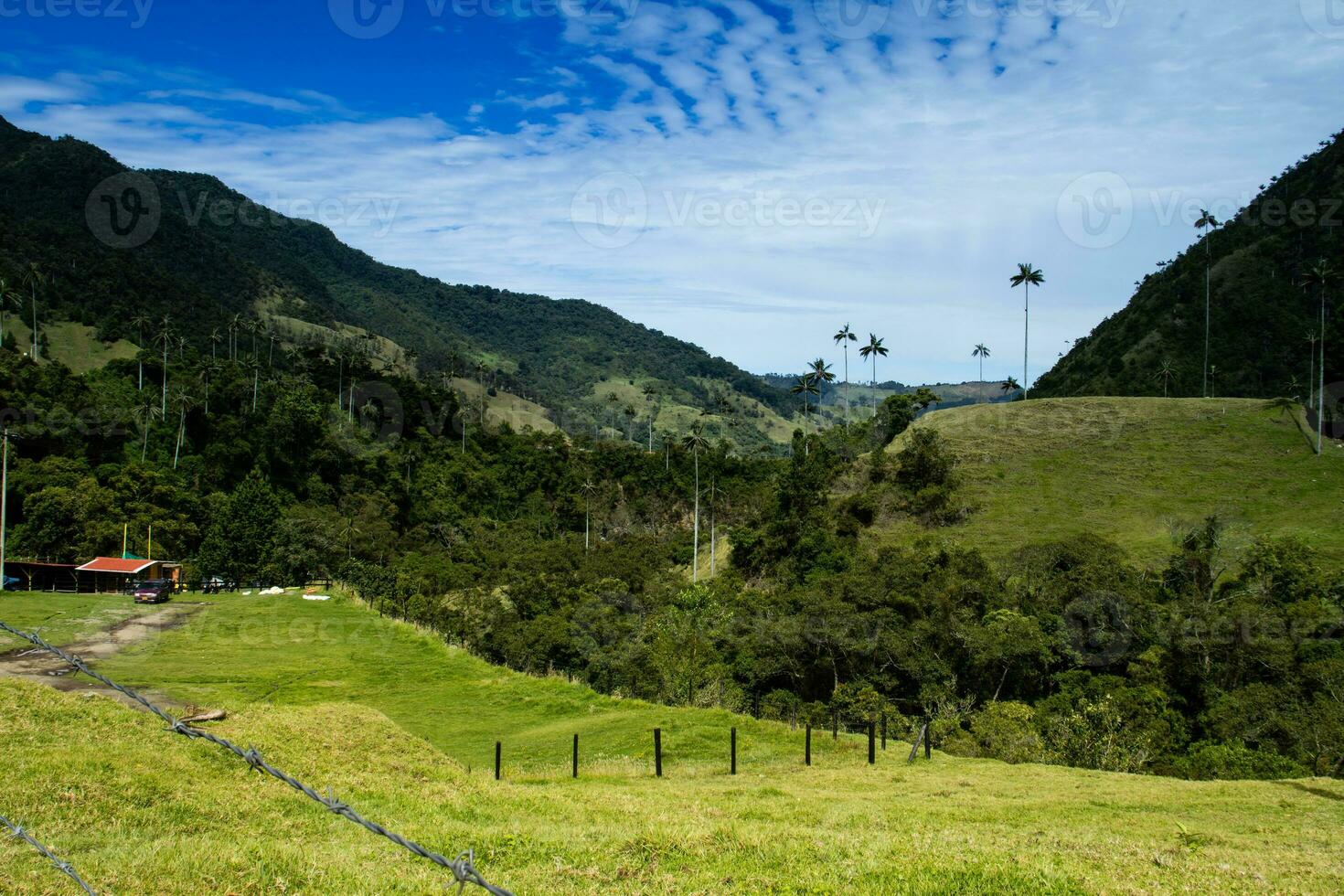 se av de skön moln skog och de quindio vax palmer på de cocora dal belägen i salento i de quindio område i colombia. foto