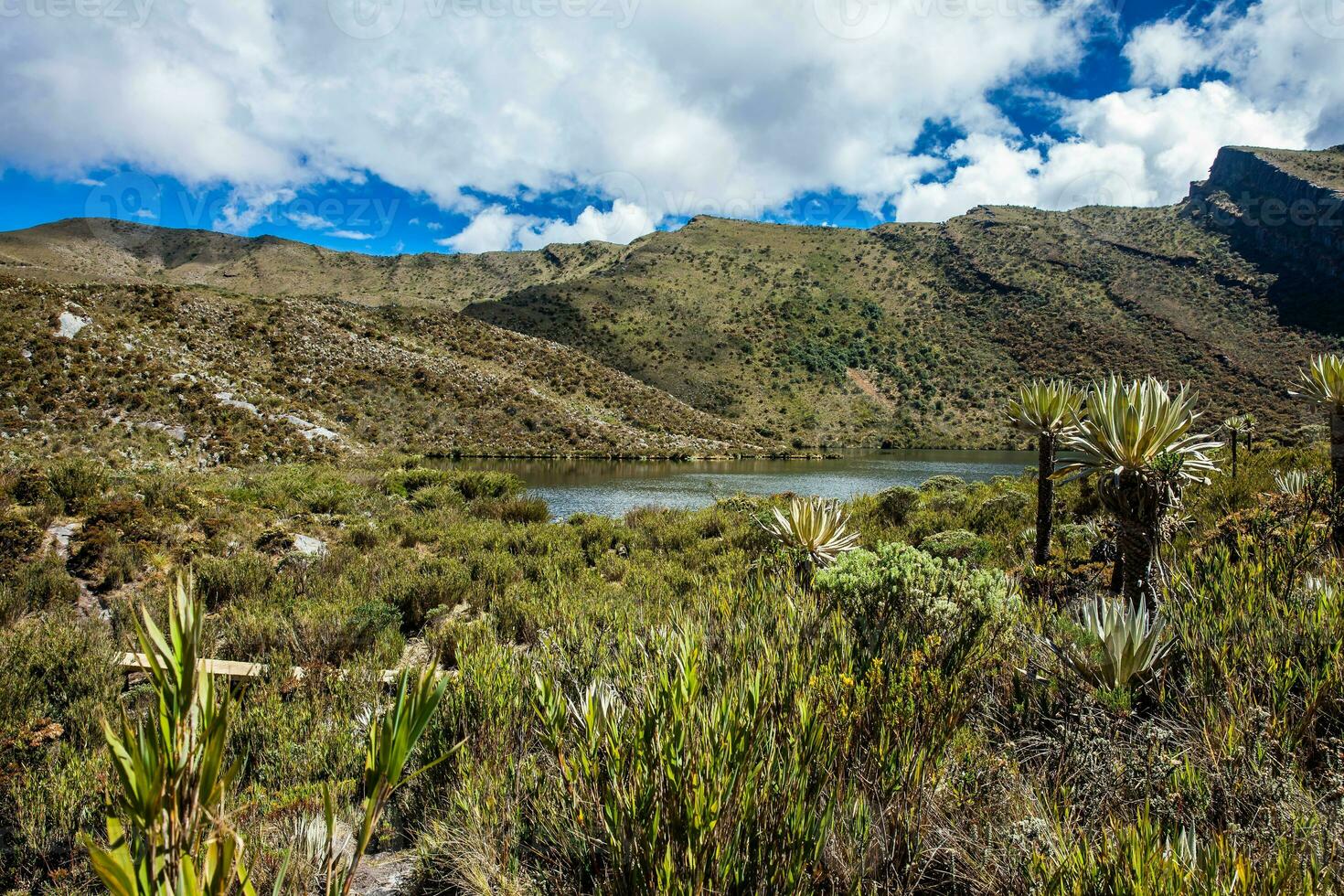 skön landskap av colombianska andean bergen som visar paramo typ vegetation i de avdelning av cundinamarca foto