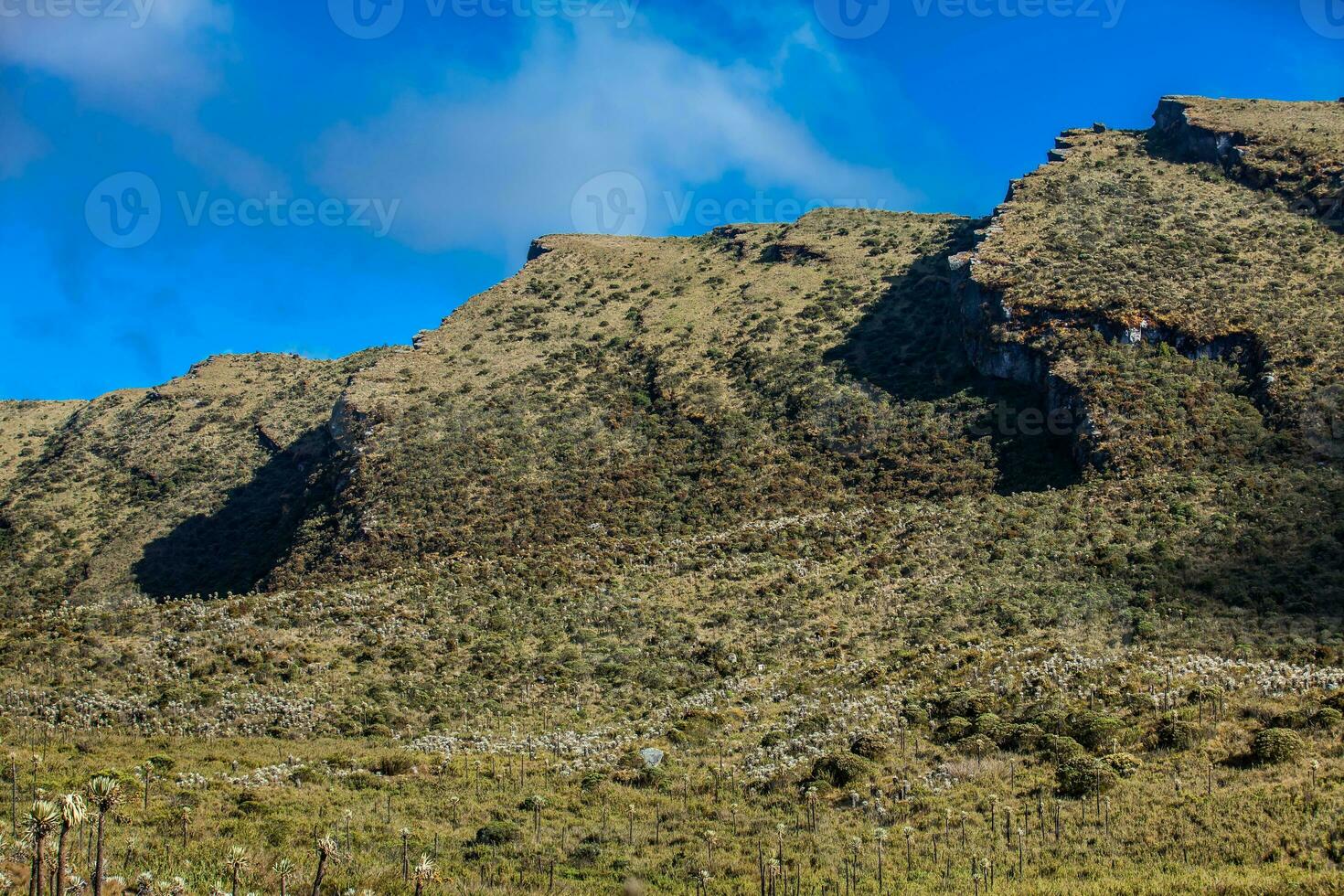 skön landskap av colombianska andean bergen som visar paramo typ vegetation i de avdelning av cundinamarca foto