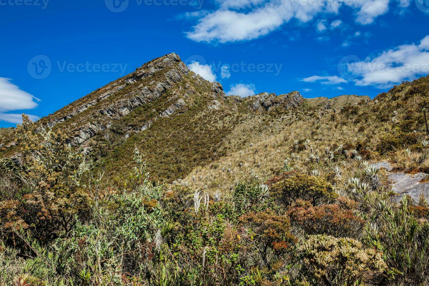 skön landskap av colombianska andean bergen som visar paramo typ vegetation i de avdelning av cundinamarca foto