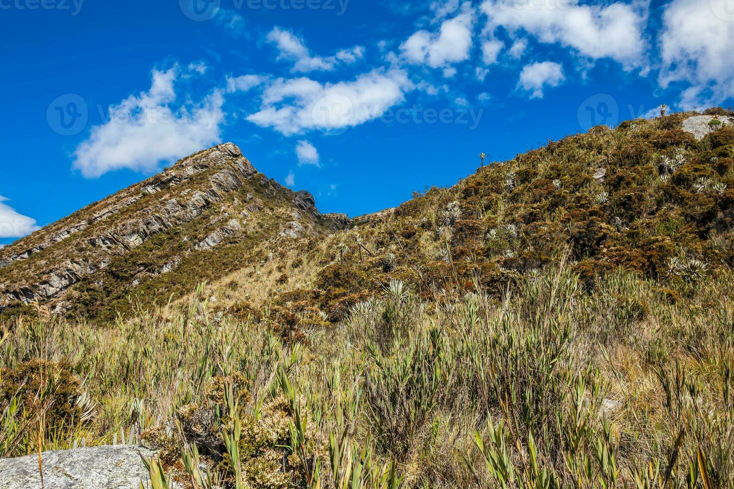 skön landskap av colombianska andean bergen som visar paramo typ vegetation i de avdelning av cundinamarca foto