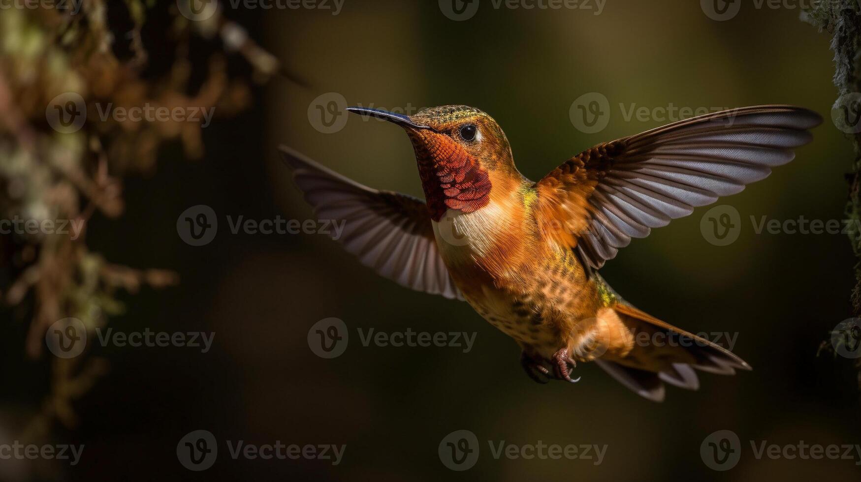 de skön endangered rufous kolibri - selasfor rufus - generativ ai. foto