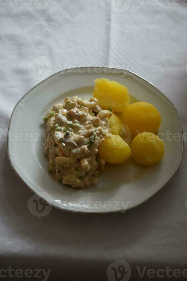 rå sill maträtt, rheinischer häring med potatisar foto