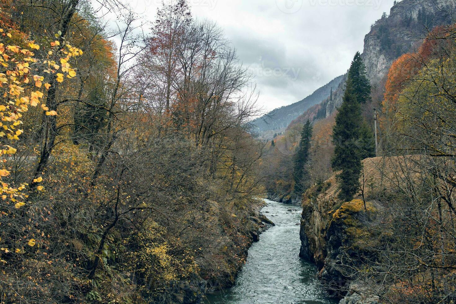 bergen höst skog flod landskap natur resa foto