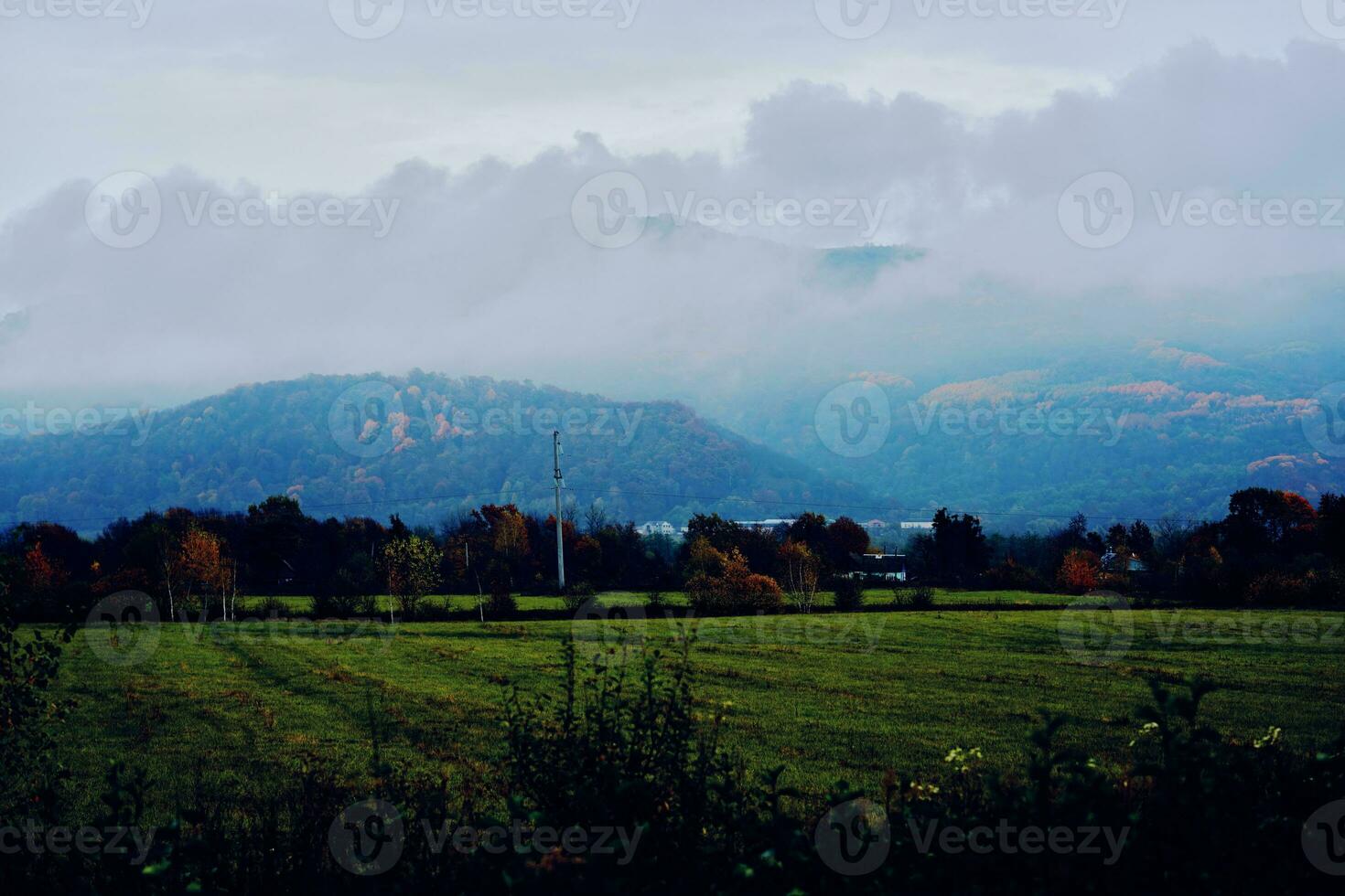 bergen grön gräs bergen dimma resa natur foto