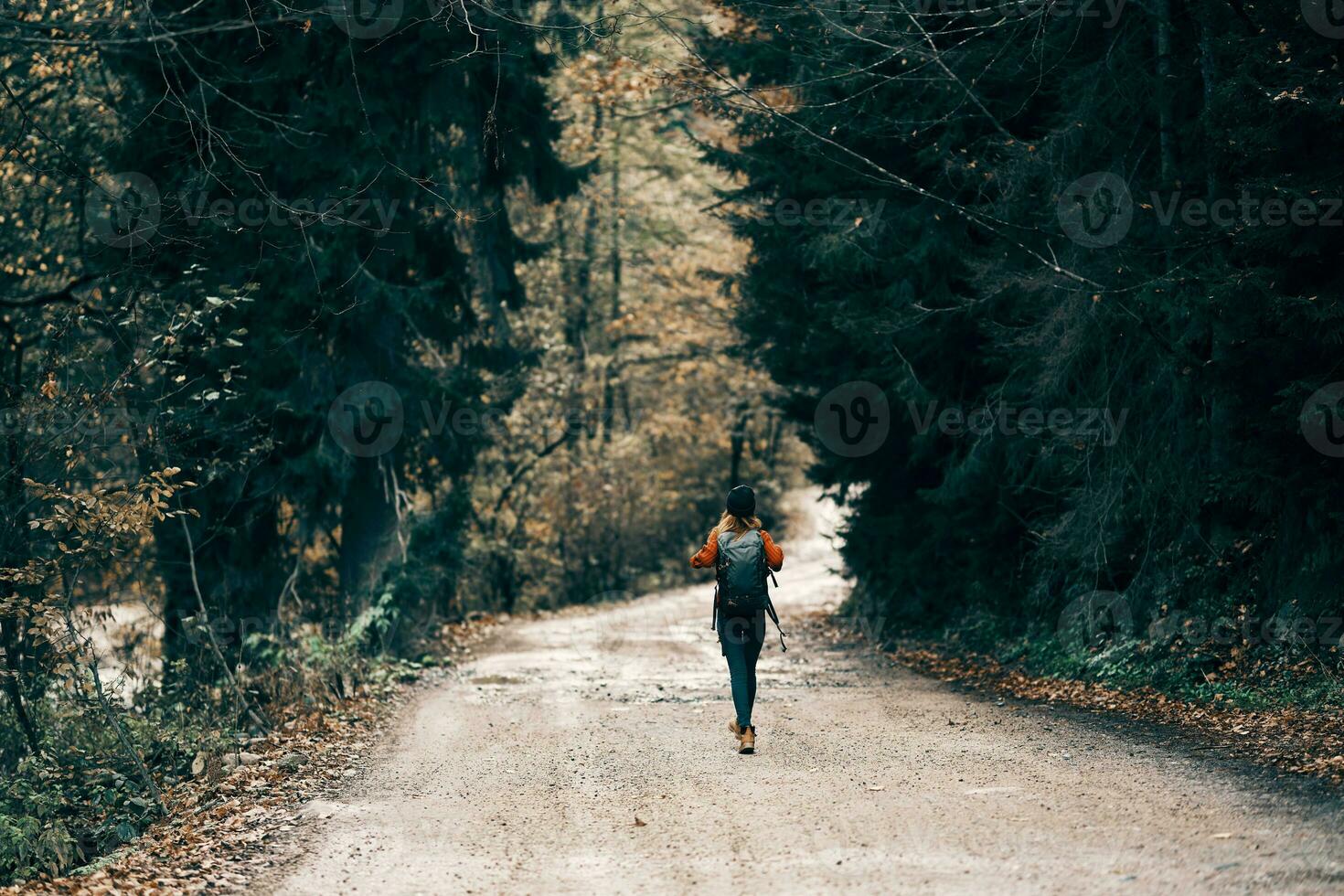 Lycklig resa med en ryggsäck i en värma Tröja, byxor och stövlar promenader längs de väg i de höst skog foto