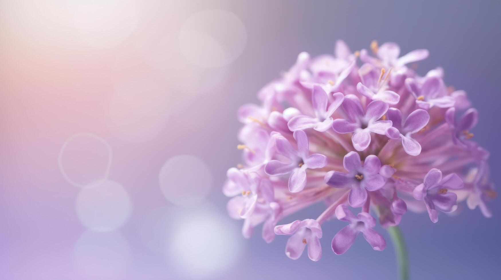 lila blomma bokeh bakgrund. illustration ai generativ foto