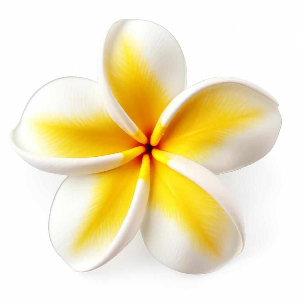 plumeria blomma isolerat. illustration ai generativ foto