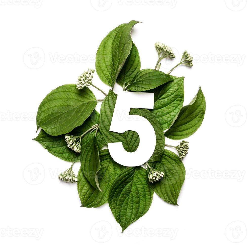 papper siffra fem på bakgrund av grön löv. minimal kreativ layout med naturlig element för din design foto