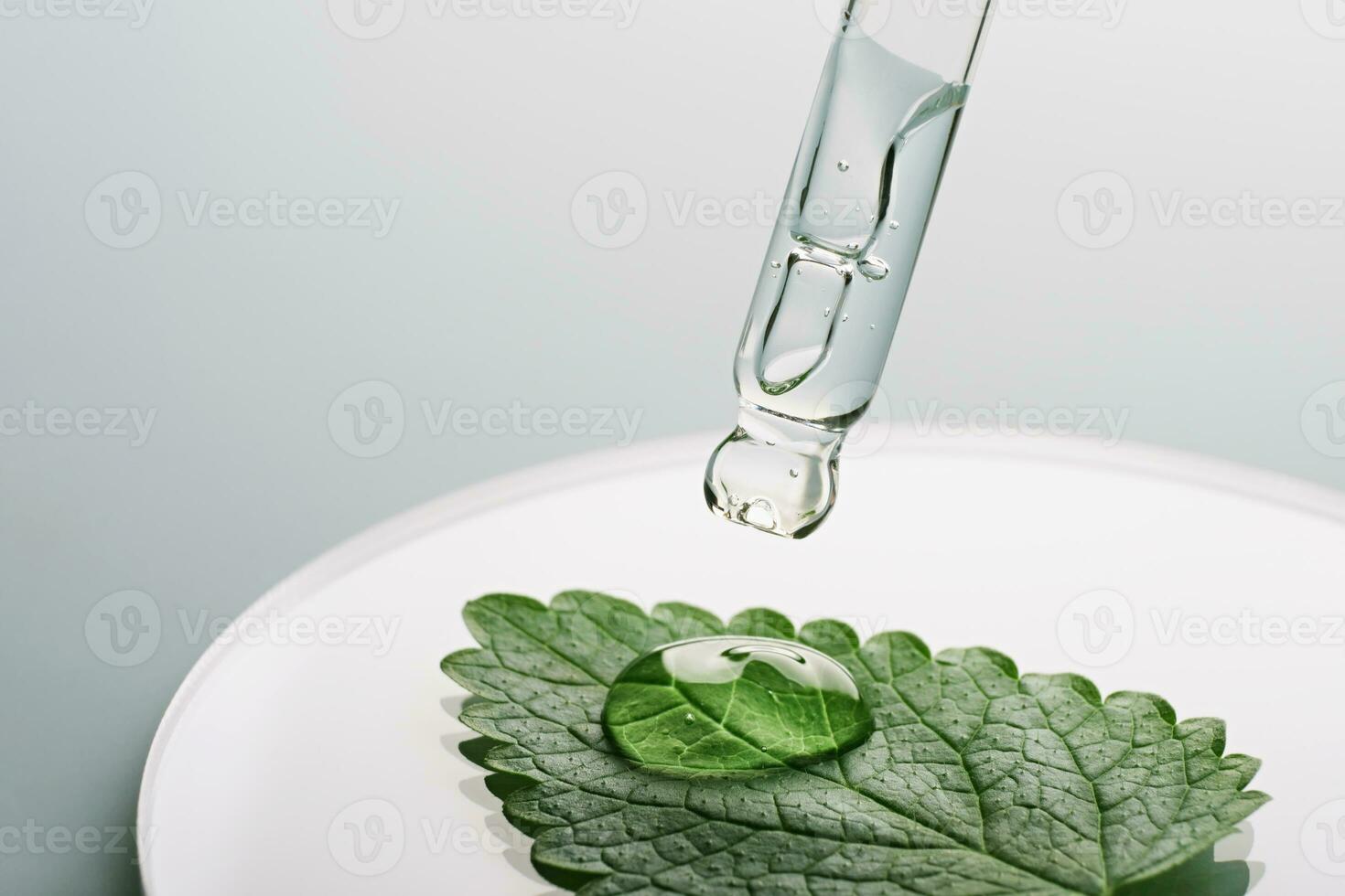 pipett med gel kosmetisk släppa på grön blad i petri maträtt på grå bakgrund foto
