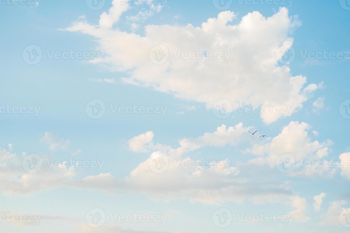 blå himmel med vita moln och sväva svarta fåglar foto