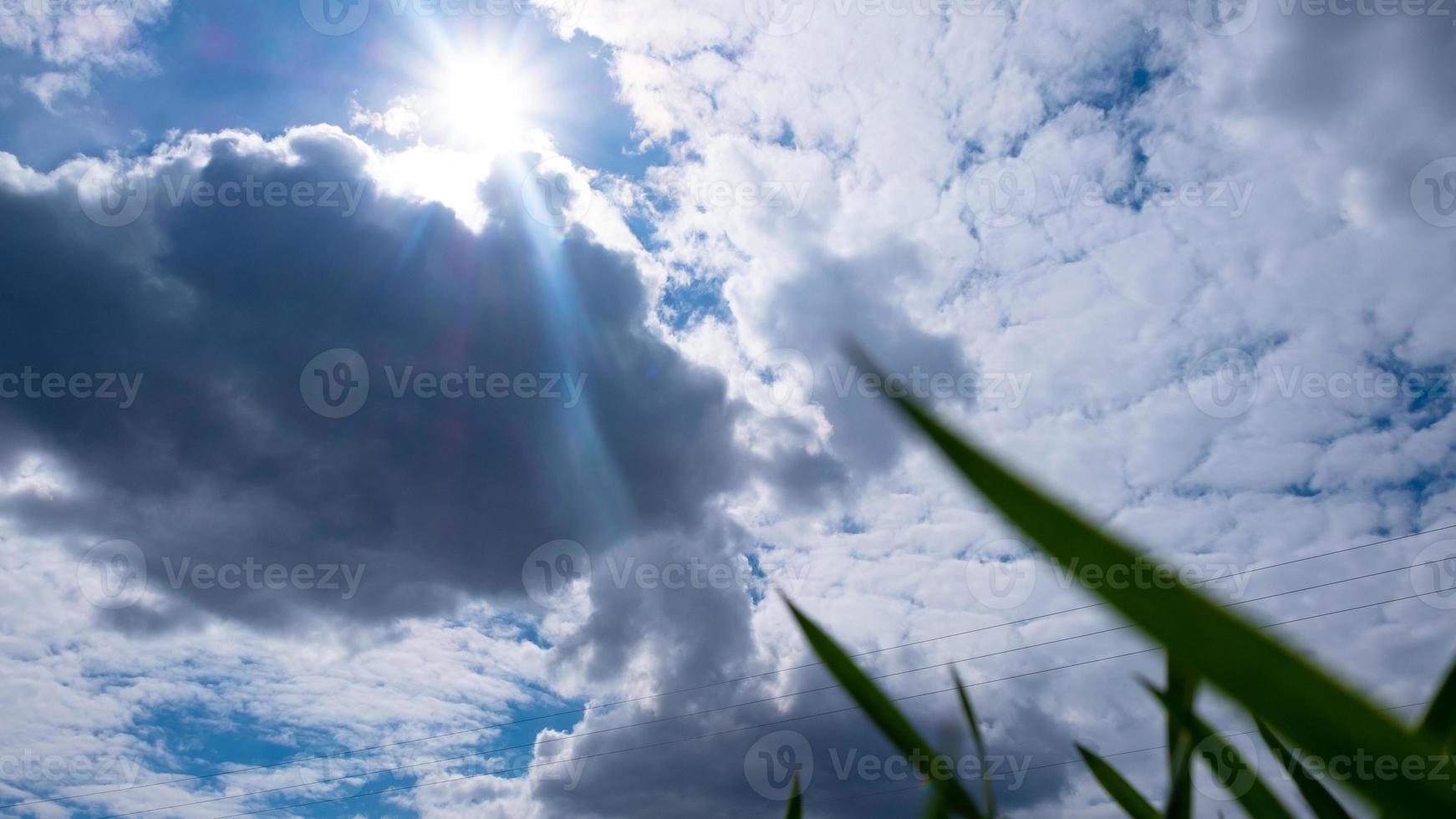 blå himmel och vita moln bottenvy med grönt gräs vårtid foto