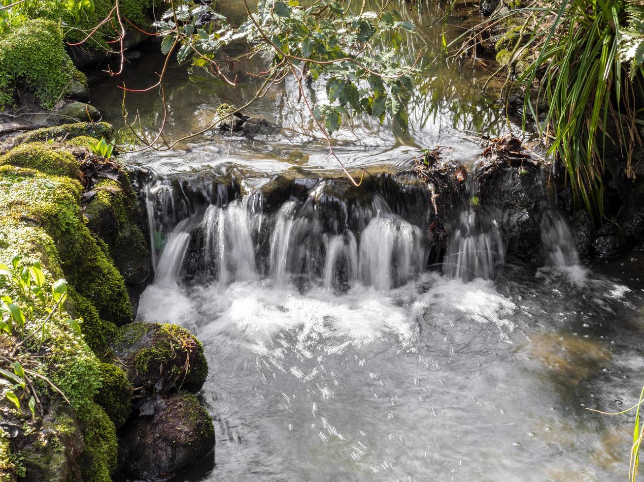 litet vattenfall i Peasholm Park Scarborough England foto