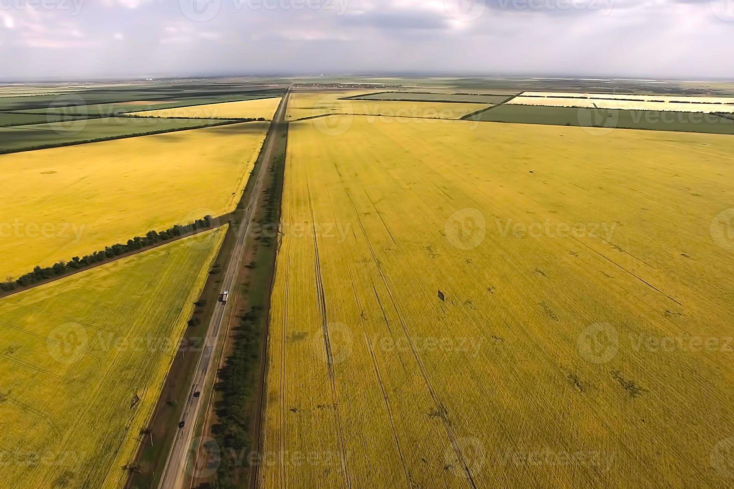 Flygfoto över det naturliga landskapet med utsikt över fältet med korn foto